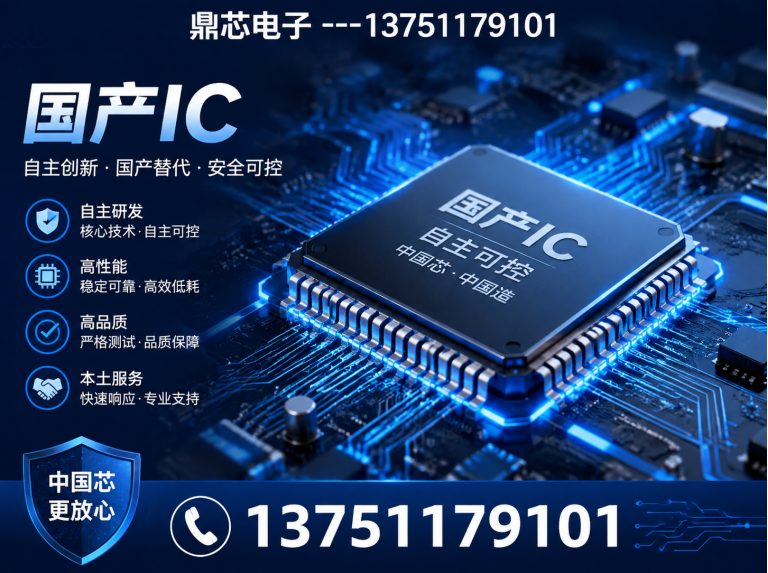 乐东AC-DC展示图